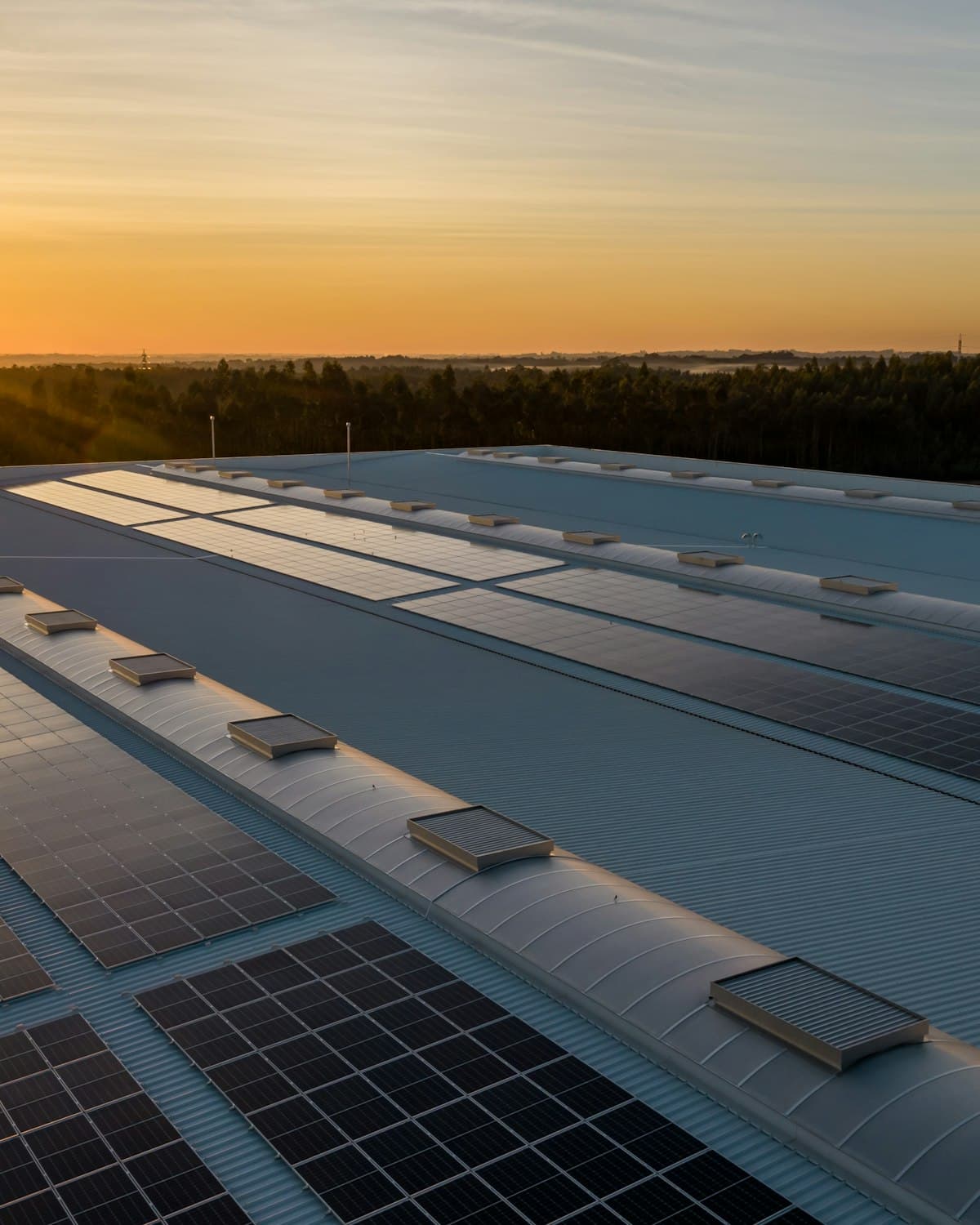 Rows of rooftop solar panels catching the evening sun