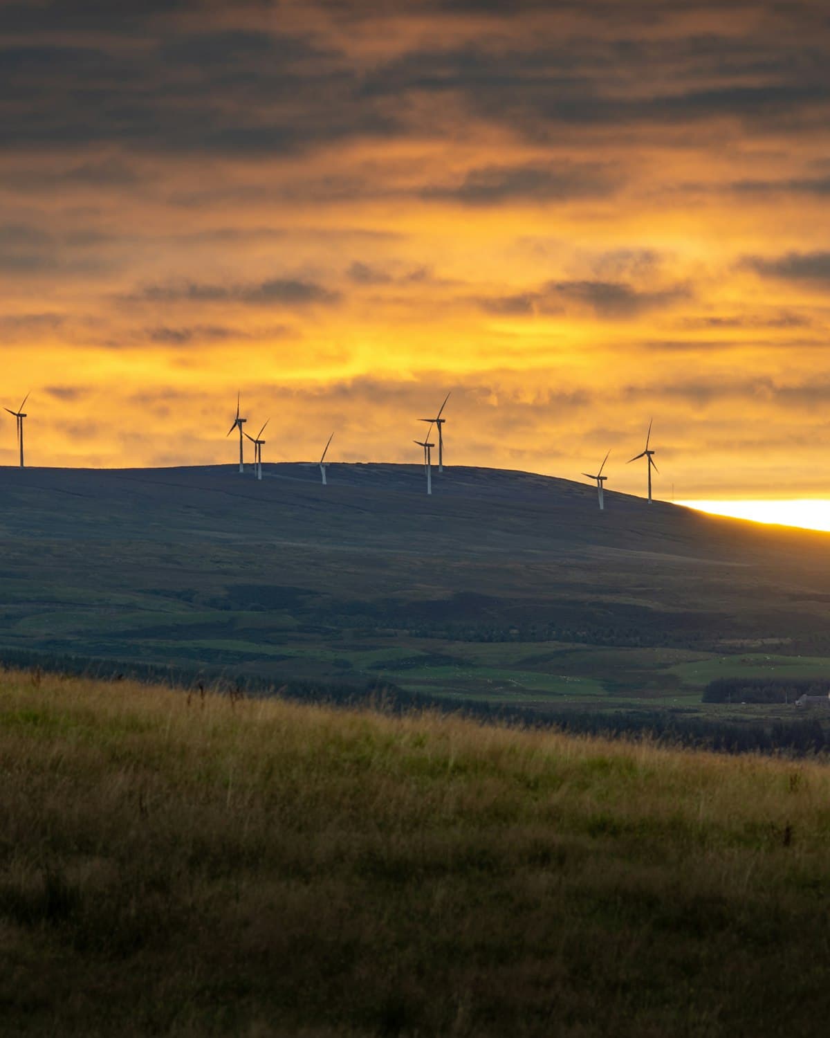Wind turbines on green hills at sunset
