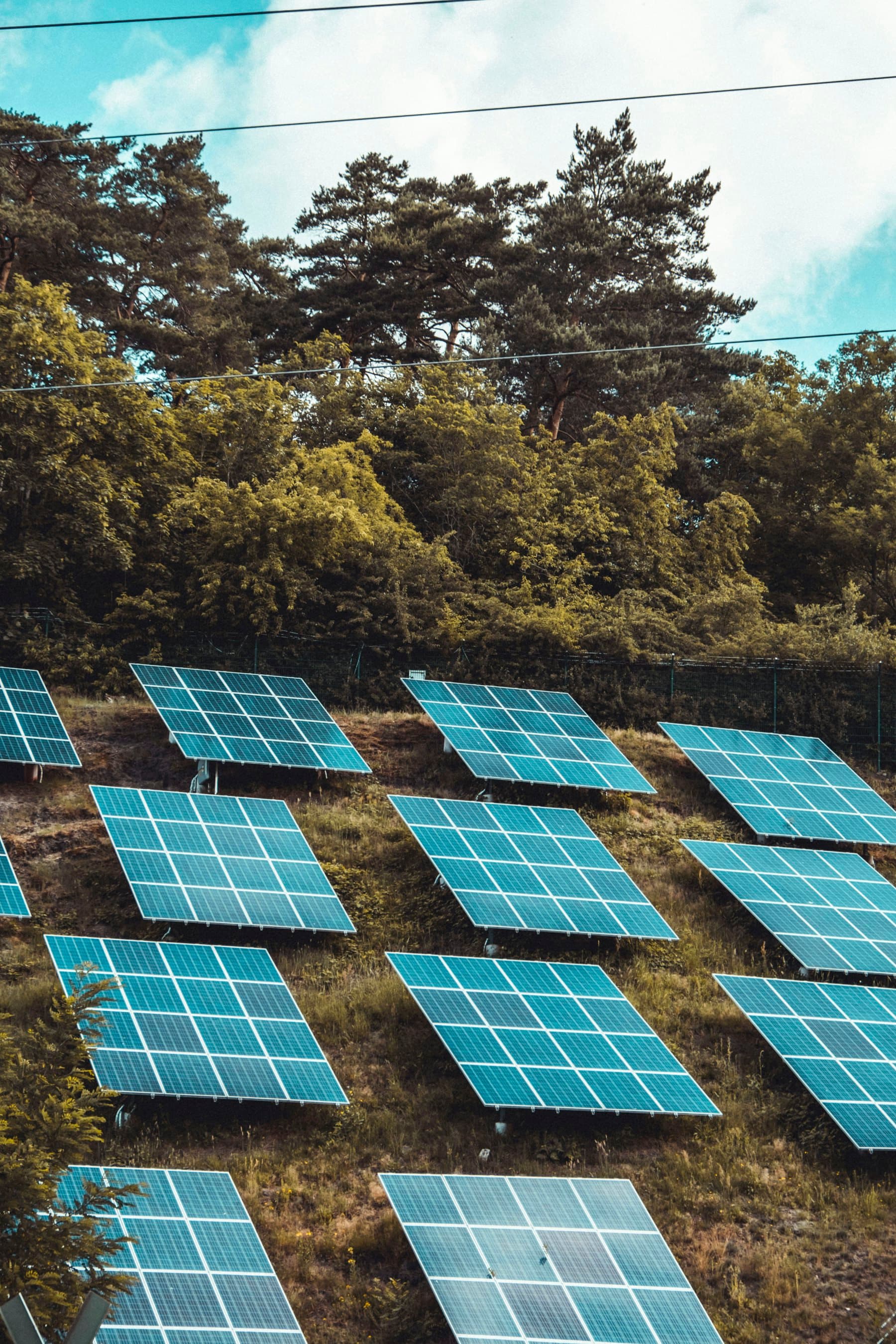 Solar panels installed in a remote clearing surrounded by trees